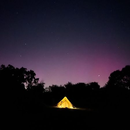 Bell Tent 4M Fossewold Farm Camping Moreton-in-Marsh 外观 照片