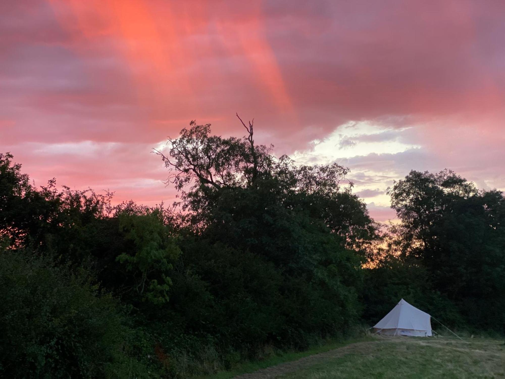 Bell Tent 4M Fossewold Farm Camping Moreton-in-Marsh 外观 照片